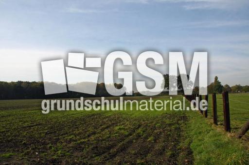 Herbststimmung-10-09 051.jpg